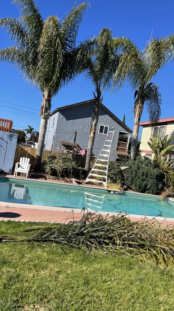 Reliable lawn mowing service in Grover Beach, CA - Marval Services