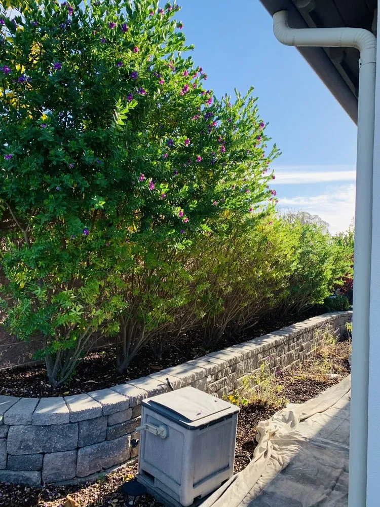 Expert yard cleanup service experts serving Grover Beach, CA - Marval Services