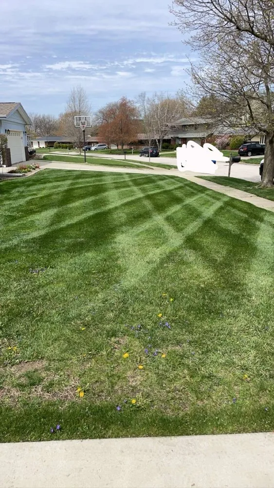 Professional lawn mowing service with custom design across Bloomington, IL - Marvel Bros Lawncare