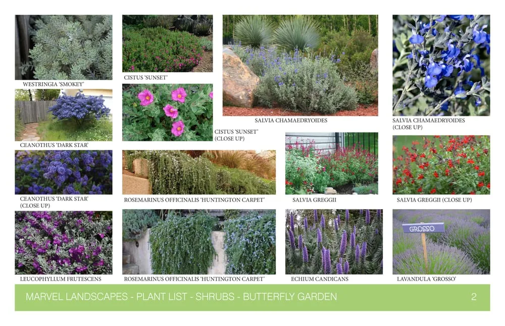 Professional outdoor landscaping experts serving Pasadena, CA - Marvel Landscapes