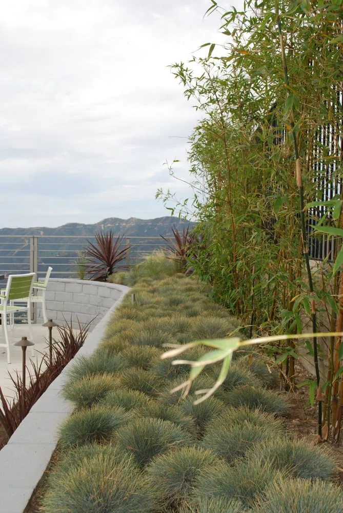 Top-rated lawn mowing service for year-round maintenance in Pasadena, CA by Marvel Landscapes