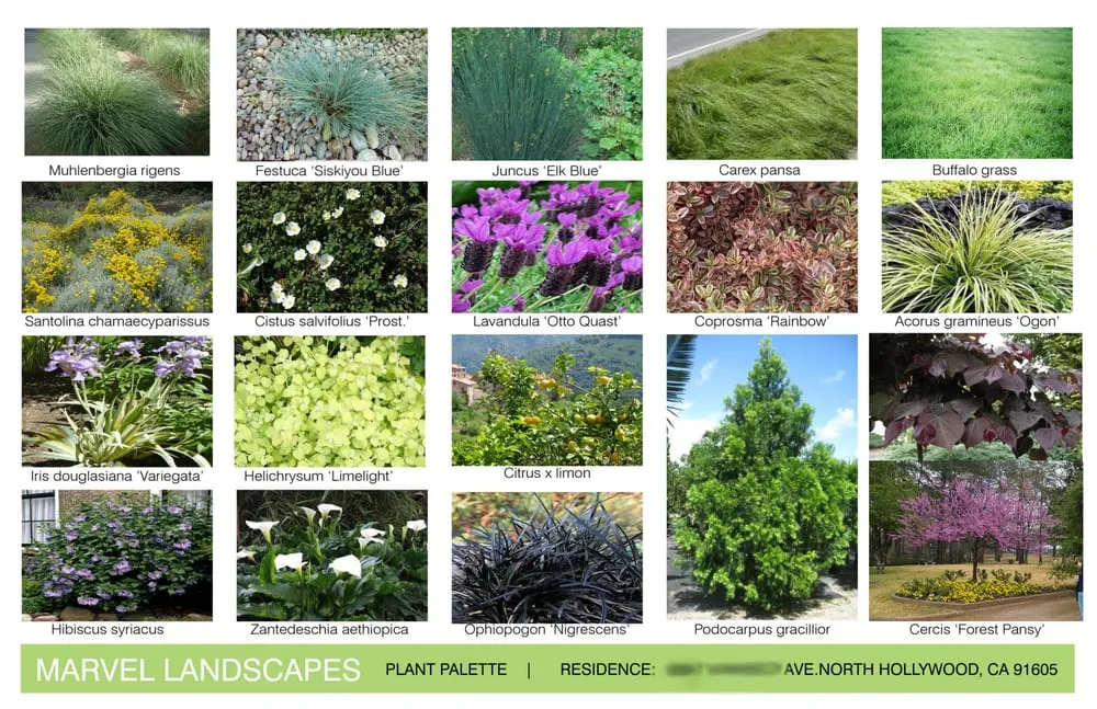 Reliable landscape installation for homes in Pasadena, CA by Marvel Landscapes