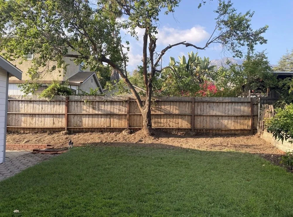 Custom yard cleanup service in Pasadena, CA by Marvel Landscapes