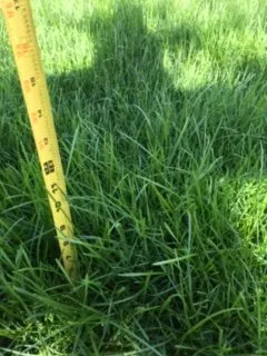 Expert landscaping services in Lorain, OH - Marvel Landscaping