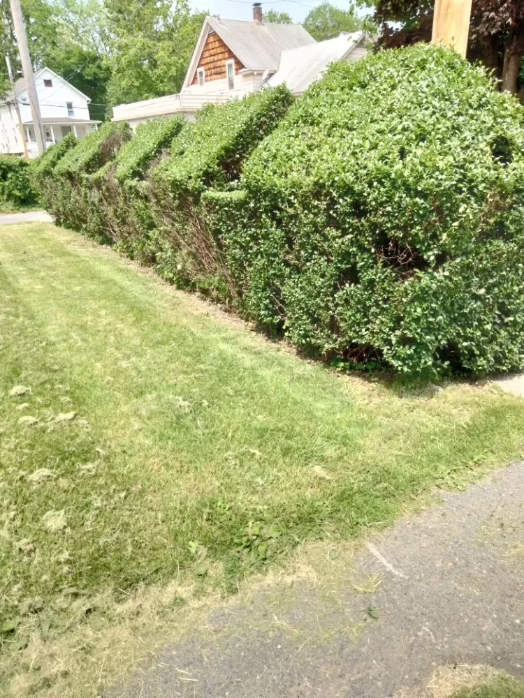 Trusted yard maintenance in Poughkeepsie, NY - Marvel Lawn Maintenance