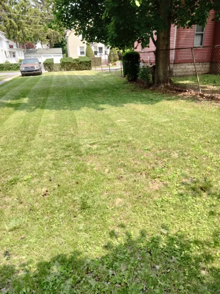 Professional yard cleanup service in Poughkeepsie, NY by Marvel Lawn Maintenance