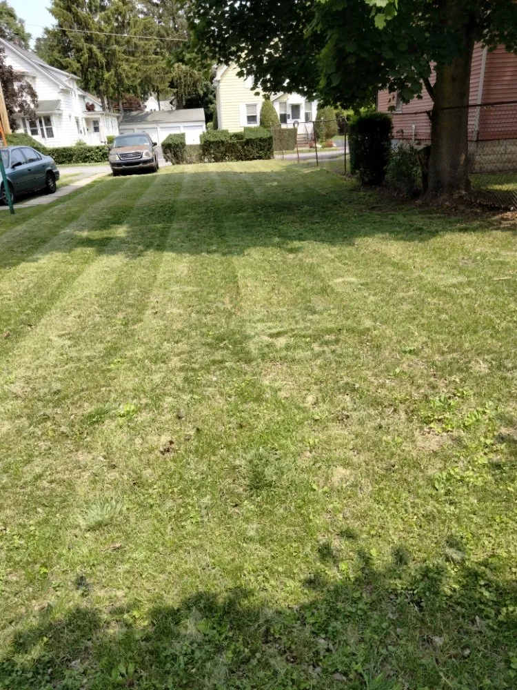 Professional landscape installation in Poughkeepsie, NY - Marvel Lawn Maintenance