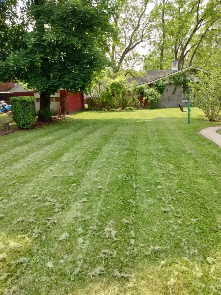 Reliable lawn mowing service near you in Poughkeepsie, NY by Marvel Lawn Maintenance