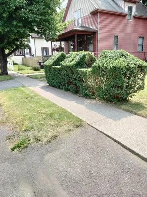 Marvel Lawn Maintenance Logo