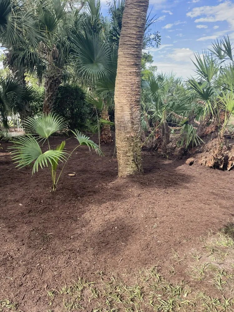 Custom yard cleanup service in Port St. Lucie, FL - Marvellitos Tree Services