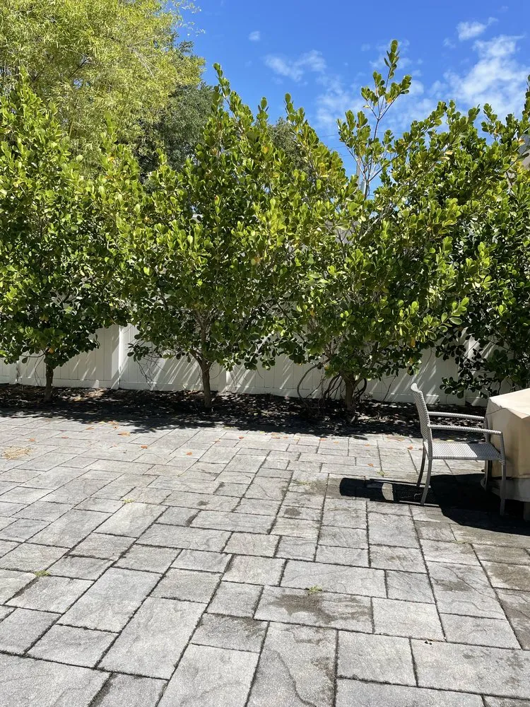 Trusted yard cleanup service in Port St. Lucie, FL by Marvellitos Tree Services