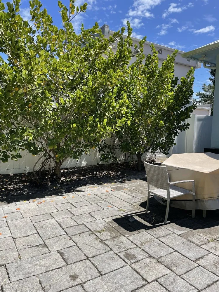 Expert yard cleanup service experts serving Port St. Lucie, FL - Marvellitos Tree Services