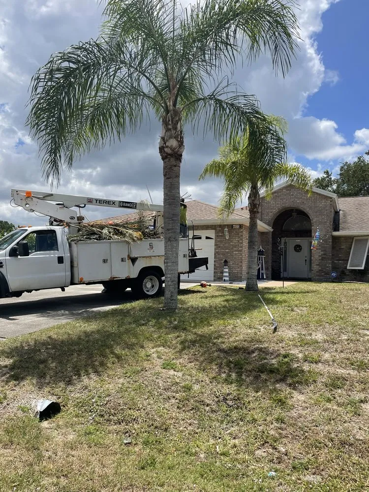 Trusted residential landscaping in Port St. Lucie, FL by Marvellitos Tree Services