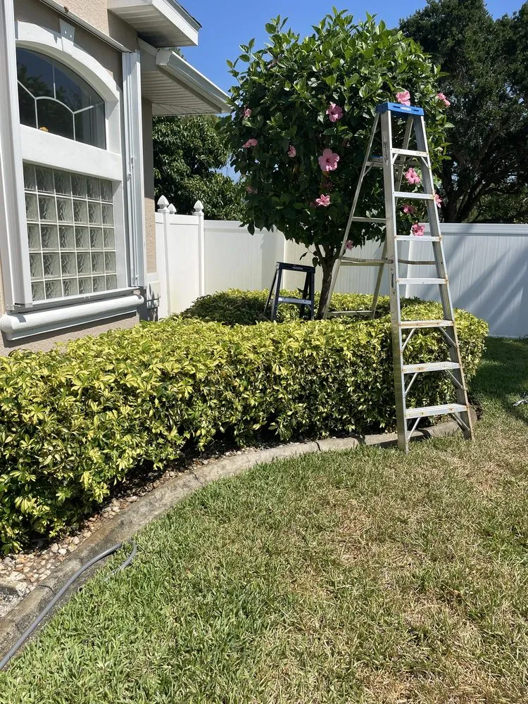 Reliable garden landscaping in Port St. Lucie, FL - Marvellitos Tree Services