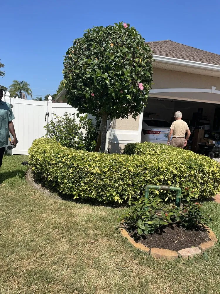Professional residential landscaping in Port St. Lucie, FL by Marvellitos Tree Services
