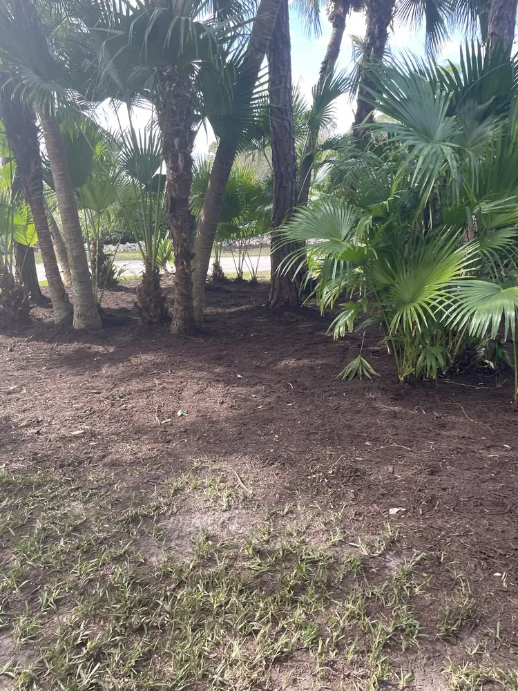 Trusted yard maintenance experts serving Port St. Lucie, FL - Marvellitos Tree Services