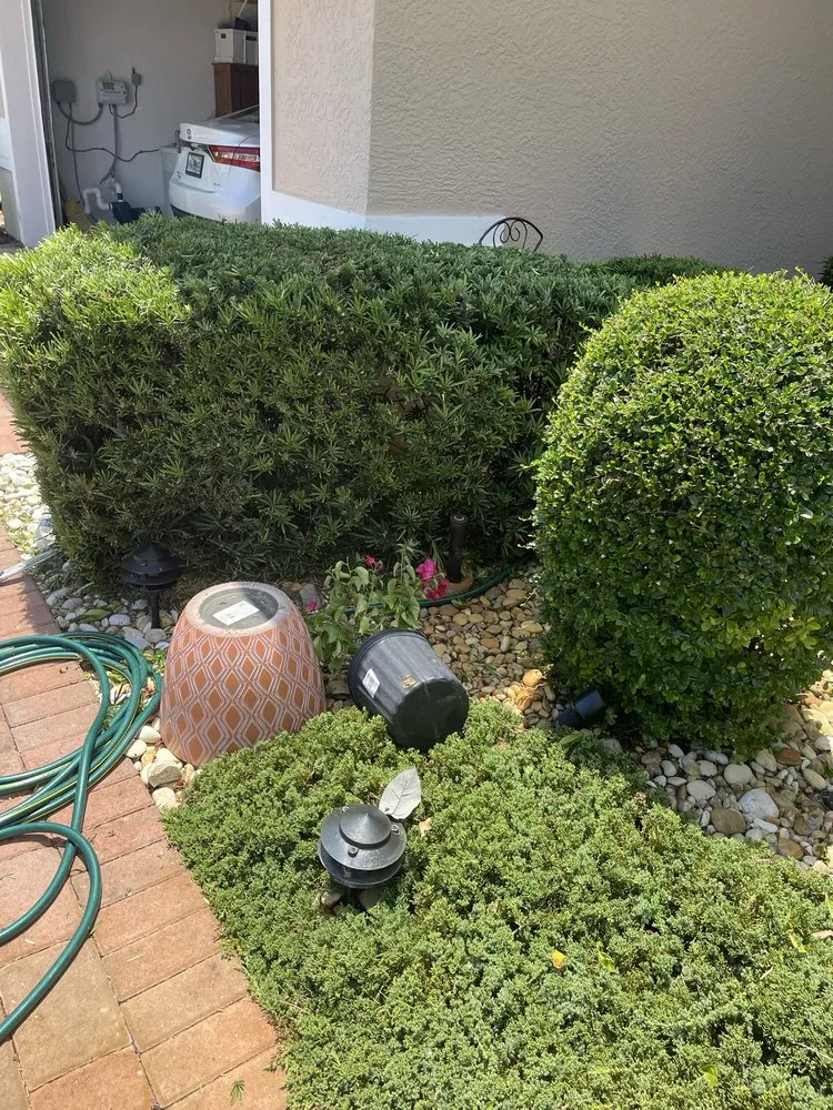 Affordable outdoor landscaping in Port St. Lucie, FL by Marvellitos Tree Services