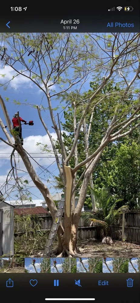 Trusted garden landscaping experts serving Port St. Lucie, FL - Marvellitos Tree Services