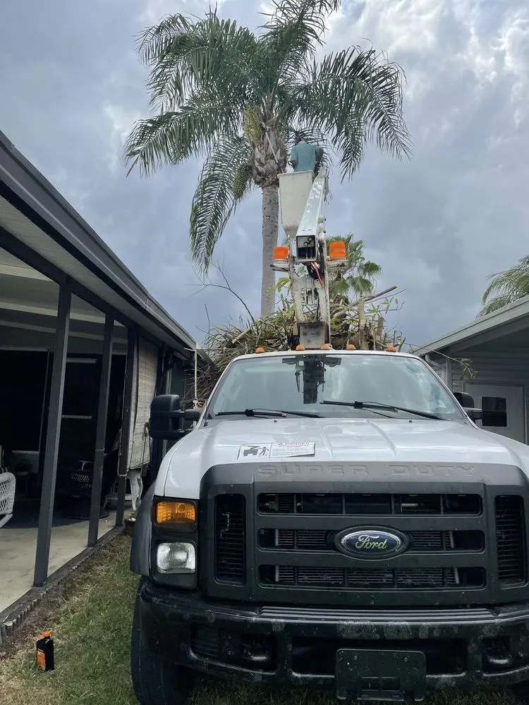 Top-rated yard cleanup service in Port St. Lucie, FL - Marvellitos Tree Services