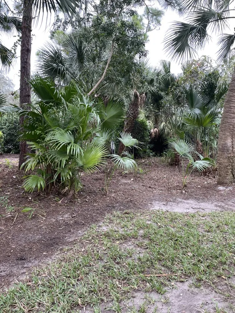 Affordable lawn care service with custom design in Port St. Lucie, FL by Marvellitos Tree Services