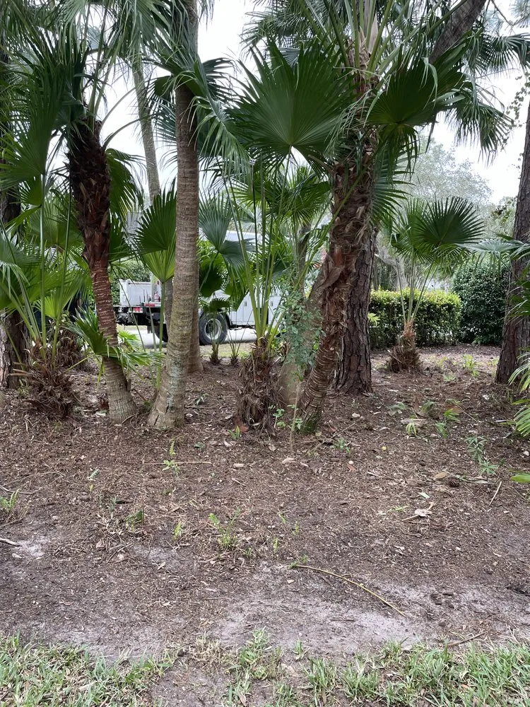 Custom residential landscaping in Port St. Lucie, FL by Marvellitos Tree Services
