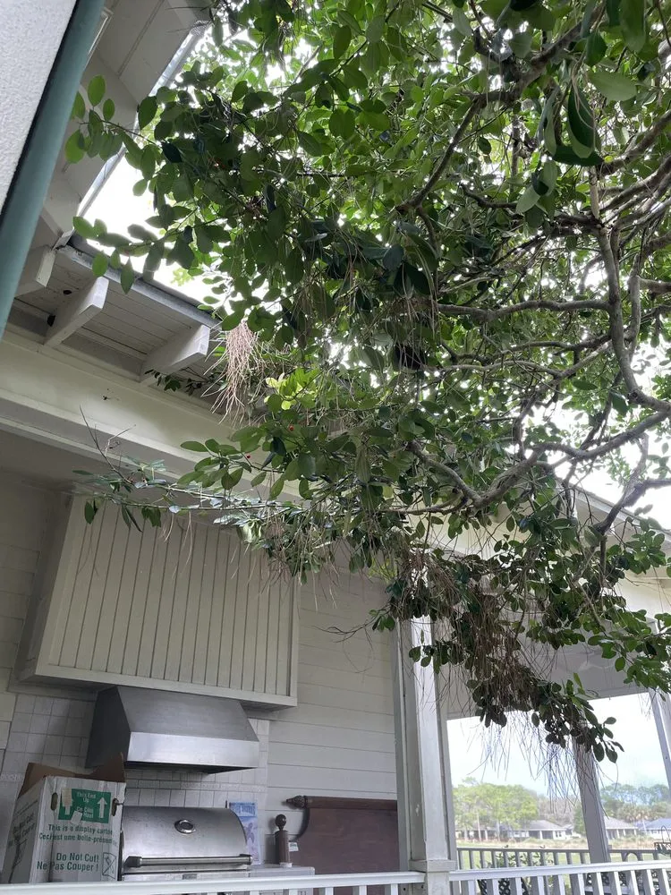 Expert outdoor landscaping for residential properties in Port St. Lucie, FL by Marvellitos Tree Services