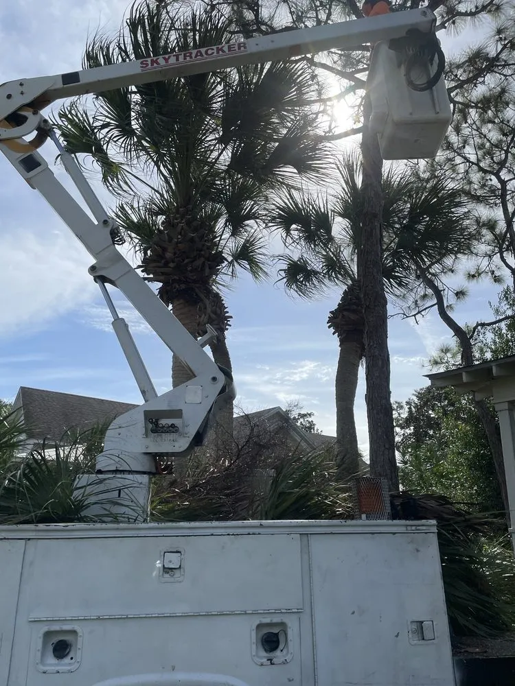 Expert lawn care service in Port St. Lucie, FL by Marvellitos Tree Services