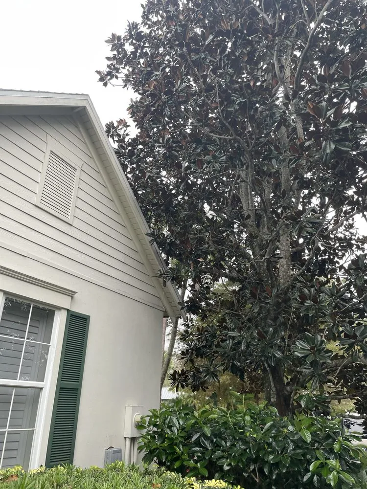 Trusted landscape design in Port St. Lucie, FL - Marvellitos Tree Services