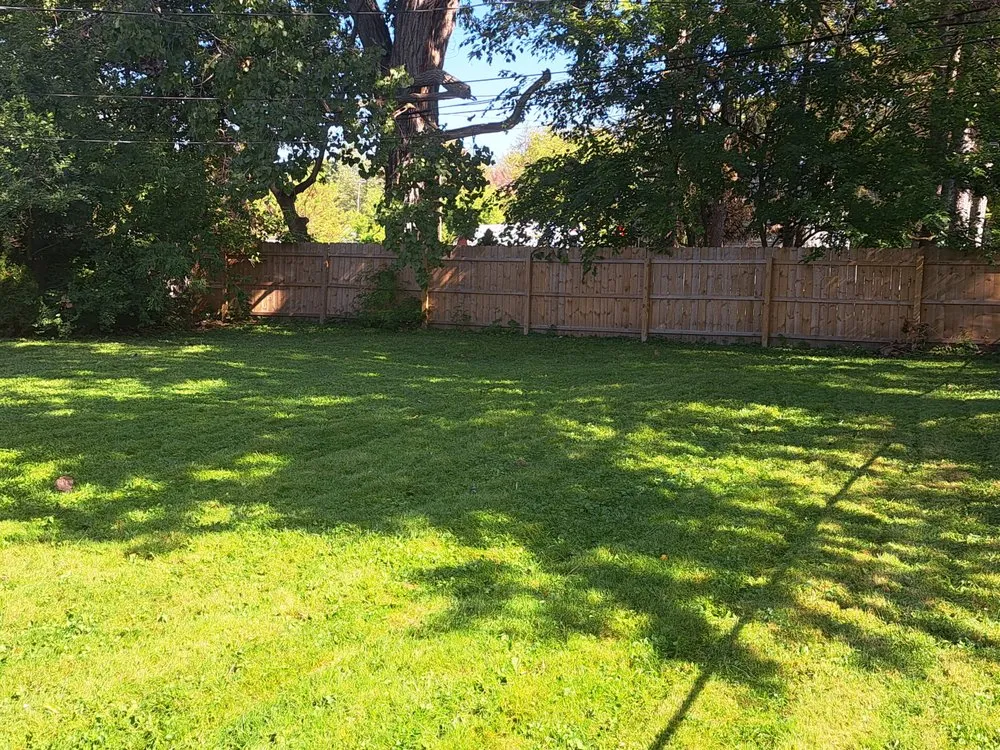 Expert yard maintenance in Dearborn Heights, MI - Marvelous Kutz