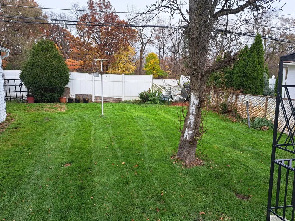 Expert yard cleanup service experts serving Dearborn Heights, MI - Marvelous Kutz