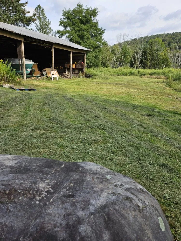 Affordable residential landscaping for outdoor upgrades in Scranton, PA by Marvelous Meadows Care & Cuts