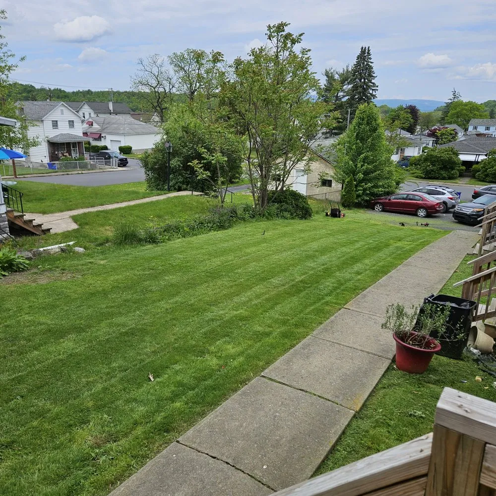 Professional landscaping services for residential properties in Scranton, PA by Marvelous Meadows Care & Cuts
