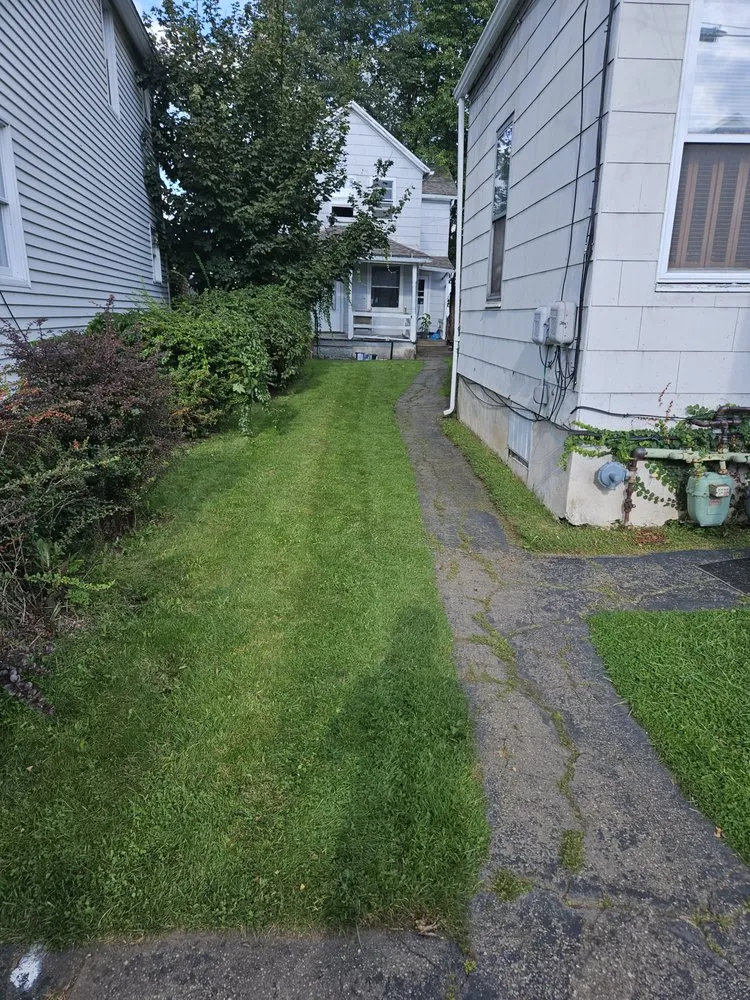 Reliable lawn care service experts serving Scranton, PA - Marvelous Meadows Care & Cuts