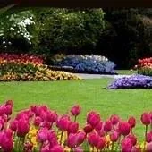 Expert landscape design in Southaven, MS - Marvin & Son landscaping