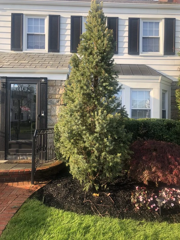 Top-rated yard cleanup service in Inwood, NY - Marvin Garcia Landscaping Corp