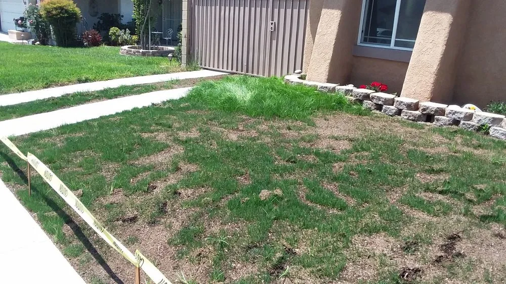 Expert residential landscaping experts serving Los Angeles, CA - Marvin Hernandez Landscaping