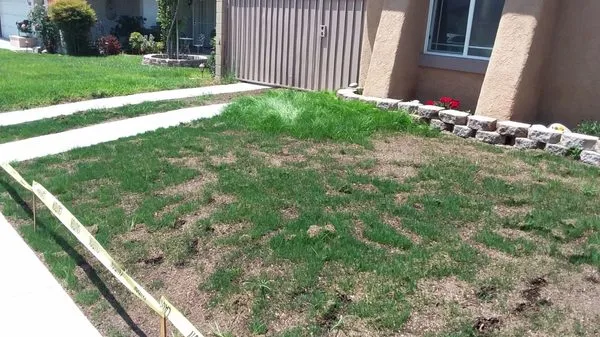 Marvin Hernandez Landscaping Logo