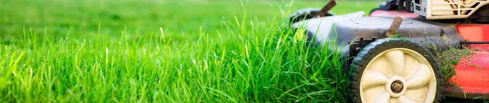 Trusted landscaping services in Bedford, NY - Marvin Landscaping