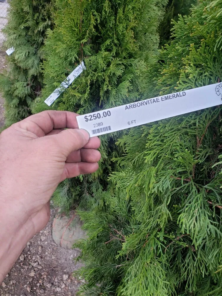 Top-rated lawn care service in Bensenville, IL by Marvin Landscaping