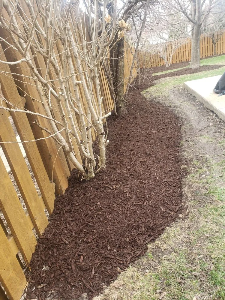 Top-rated yard cleanup service experts serving Bensenville, IL - Marvin Landscaping