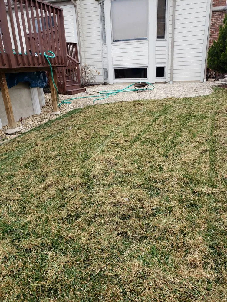 Expert landscape installation in Bensenville, IL - Marvin Landscaping