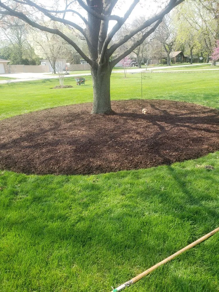 Affordable residential landscaping for beautiful yards in Bensenville, IL by Marvin Landscaping