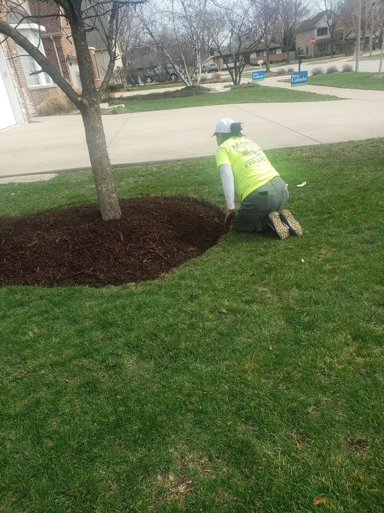 Custom lawn care service for outdoor upgrades across Bensenville, IL - Marvin Landscaping