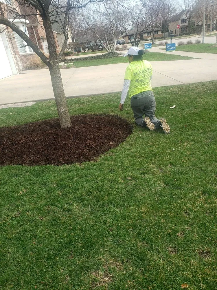 Expert lawn care service for beautiful yards in Bensenville, IL by Marvin Landscaping