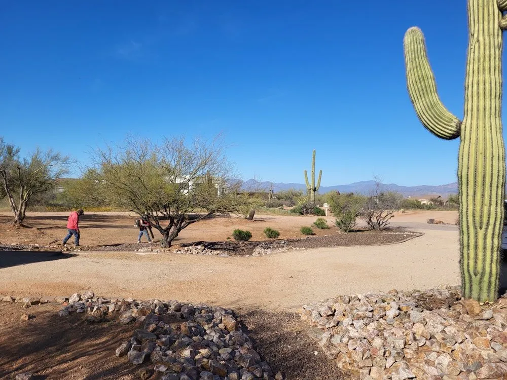 Expert landscape installation in Phoenix, AZ by Marvin landscaping