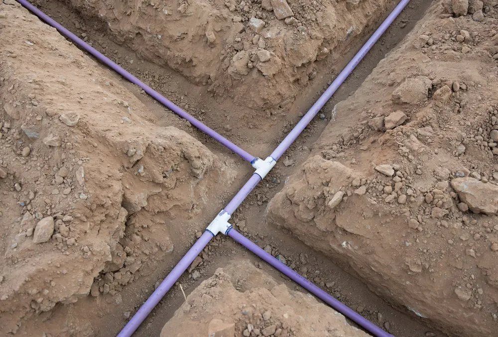 Custom landscape design for year-round maintenance in Phoenix, AZ by Marvin landscaping