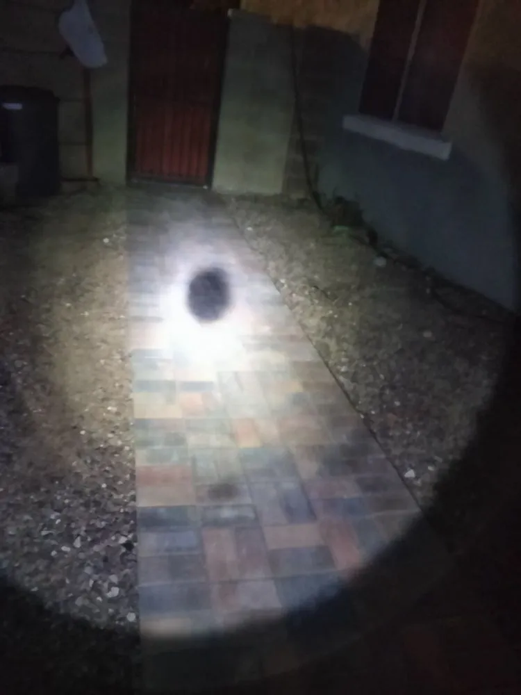 Reliable lawn care service for outdoor upgrades in Phoenix, AZ by Marvin landscaping