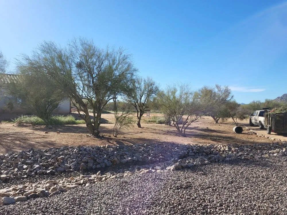 Reliable yard cleanup service in Phoenix, AZ - Marvin landscaping