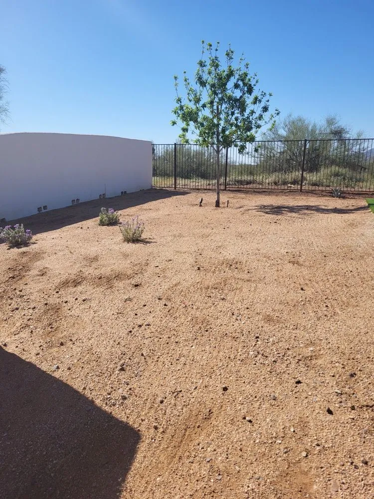 Local lawn mowing service in Phoenix, AZ by Marvin landscaping