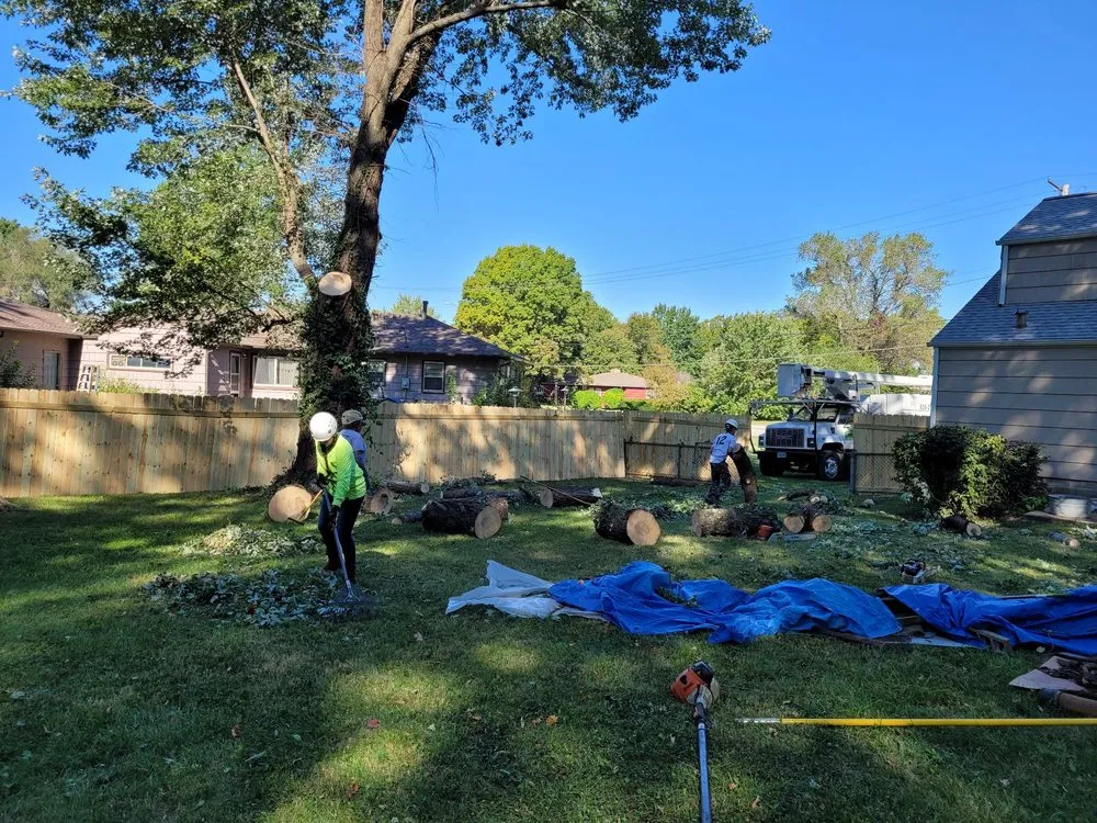 Expert residential landscaping in Sugar Creek, MO by Marvin Tree and Lawn Service